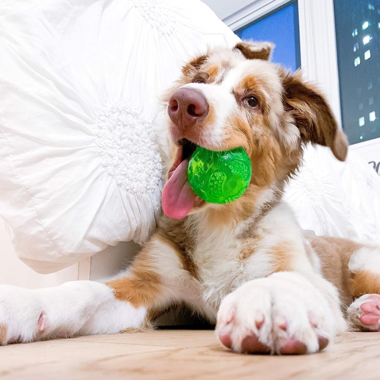 Durasqueak Dog Ball Toy, Interactive, Floats, Squeaks, Dog Balls for Fetching, Alternative to Traditional Tennis Balls - for All Breeds